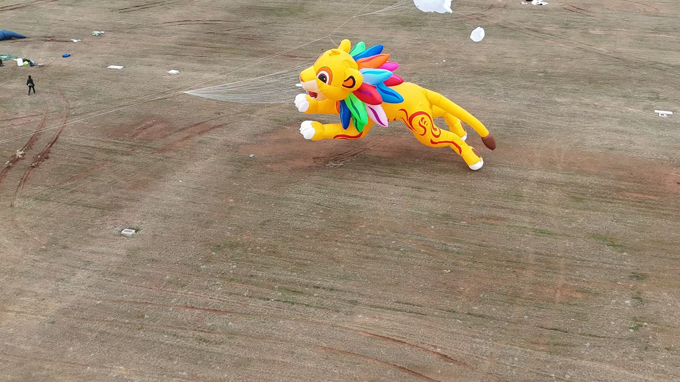 邵阳市品牌风筝定制软体风筝定制 - 价格