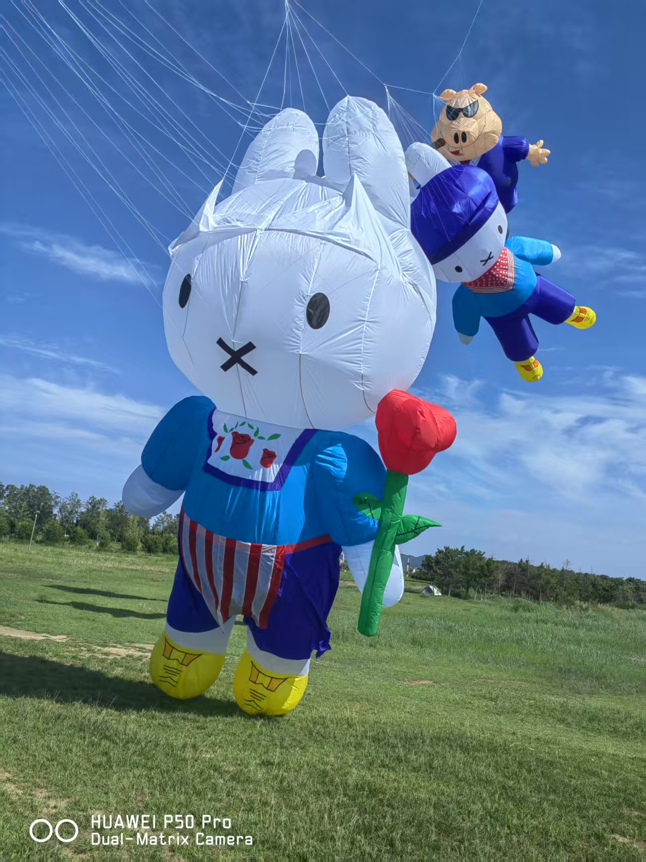 邵阳市儿童风筝定制风筝批发 - 排名