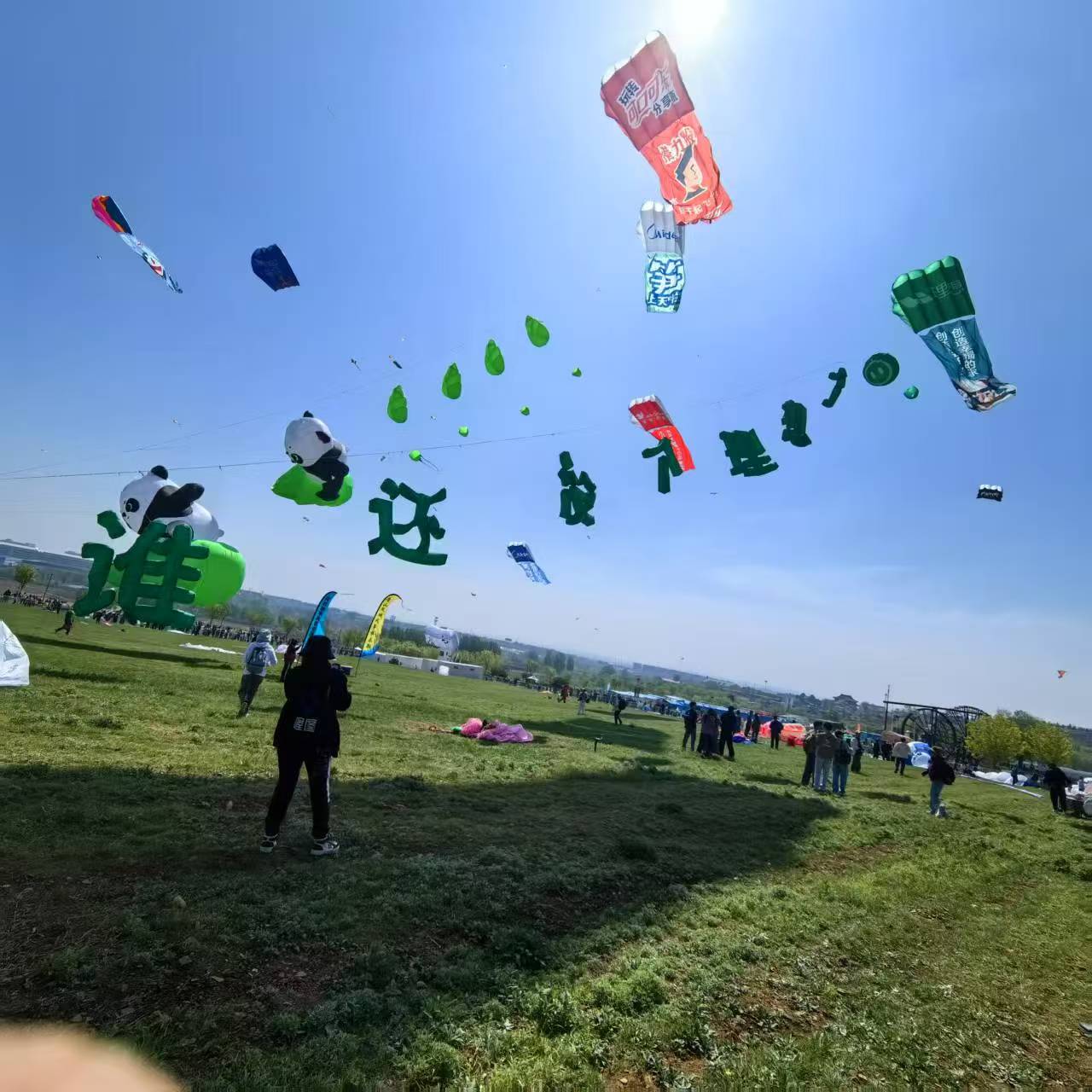 邵阳市风筝定制风筝定制 - 推荐